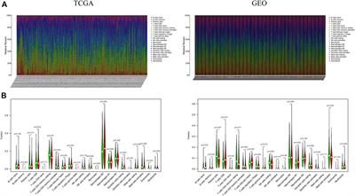 A ferroptosis associated gene signature for predicting prognosis and immune responses in patients with colorectal carcinoma